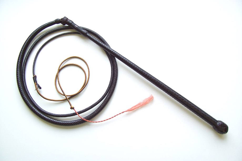 Whip Gallery